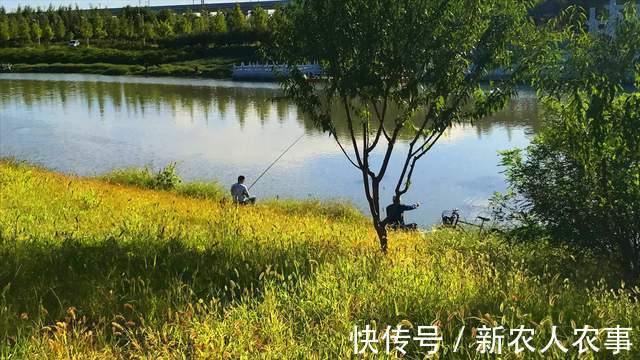 4名男子在琼州海峡无人岛上钓鱼,却意外地摊上事了,到底为啥?