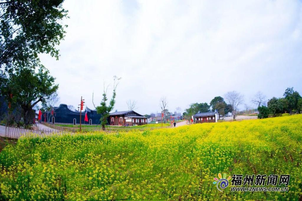 老年|假期余额不足，快去赏花！（附攻略）