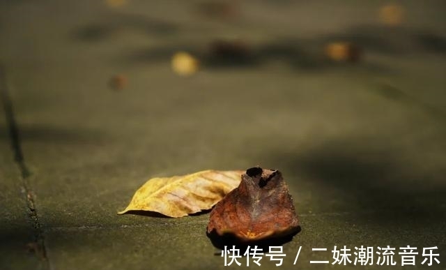 大佛|身披一池秋色，停泊在这深秋里