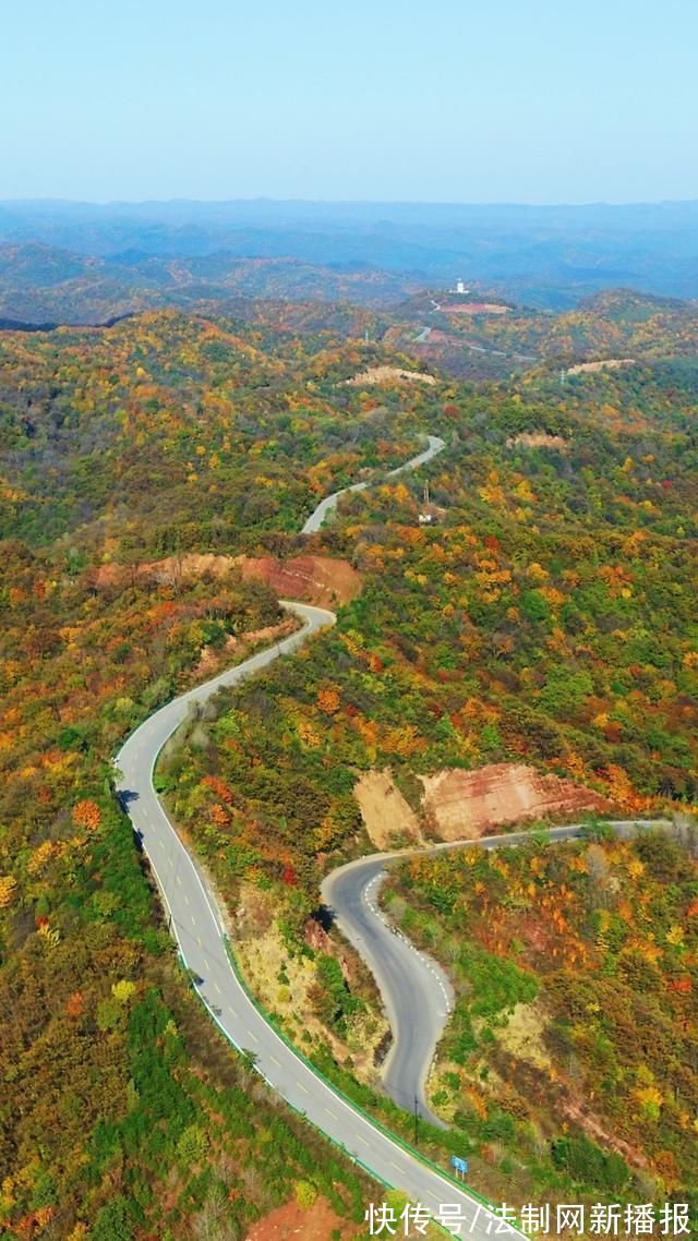 石马路#旬邑县石马路:金秋时节浓墨重彩 宛如一条行走的“画廊”