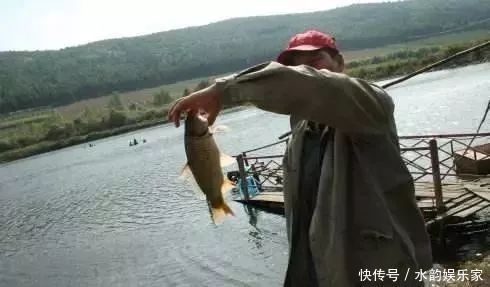 钓鱼比较费钱成本不足半瓶维它米,钓上来128斤鲫鱼