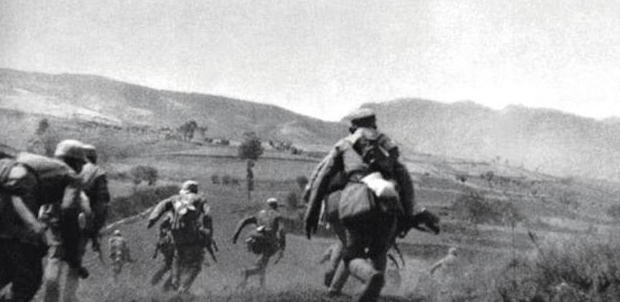 军鸽|抗日战场上最危险的动物,哪怕只有一颗子弹也要把它杀了,不是军犬