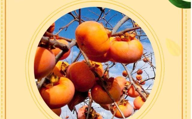 莲藕|进入秋季,这几类食物要多给孩子吃,防止娃肺燥导致咳嗽