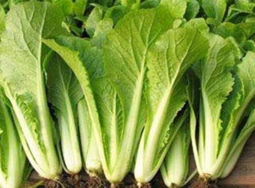 小白菜|身體兩處“發癢”，別總以為是過敏了，或是肝病已“找上門”！