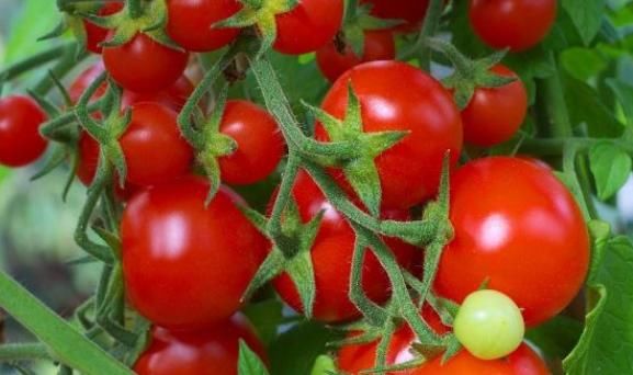 女性不想衰老快？此物經常吃，養護卵巢，淡化色斑，皮膚更緊致！