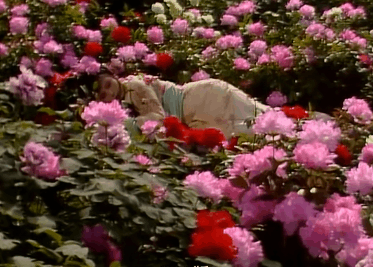 湘云醉卧|6版《红楼梦》“湘云醉卧”,看看谁是人面桃花,谁像醉鬼睡大街