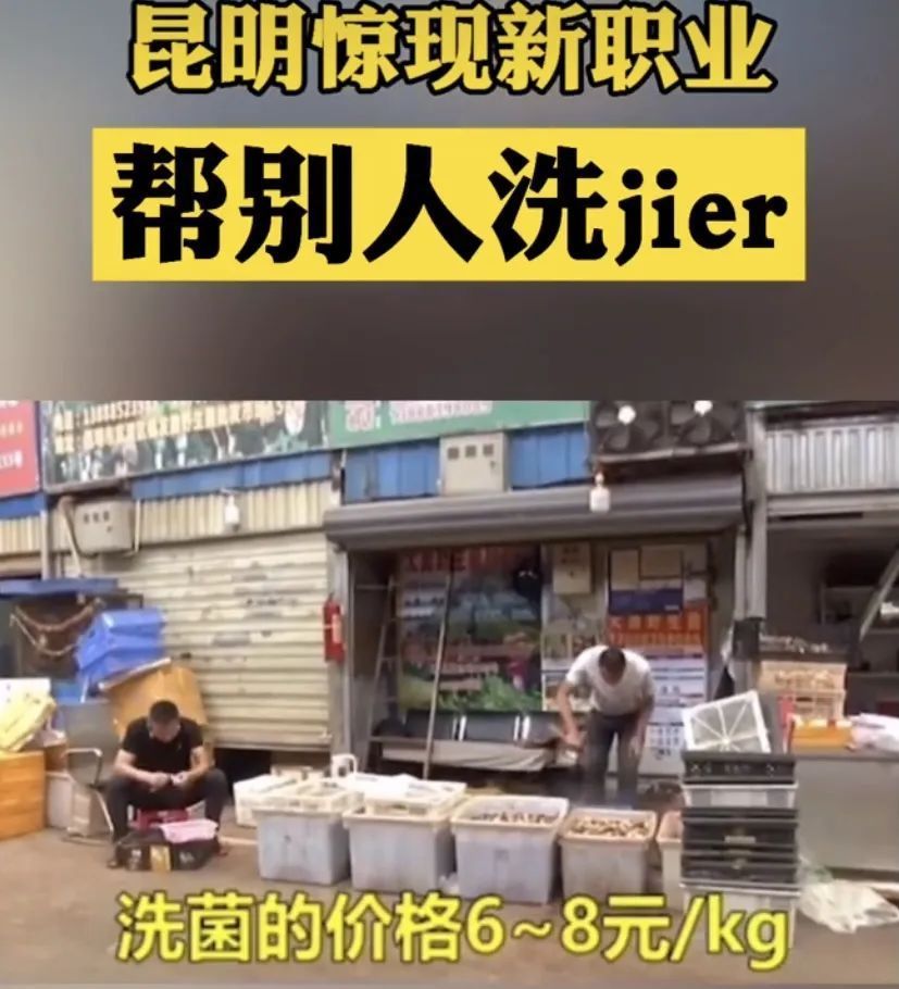 野生菌|办公室长野生菌,2.8亿网友围观!专家:有毒!别吃!