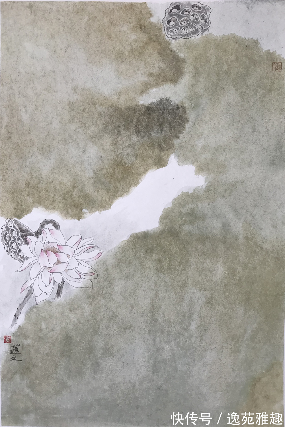 会员$「作品欣赏」淡烟流水画屏幽,女画家崔连文的花鸟作品