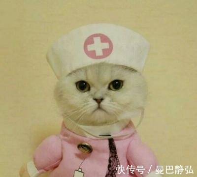 |搞笑动物:去了一趟非洲回来之后,我就变成了一只超黑的狗狗了!