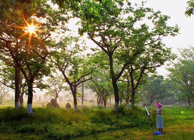 入选全省重点！