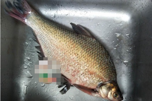 家人聚餐,这道家常蒸菜,蒸一蒸,8分钟上桌,鲜美到流口水