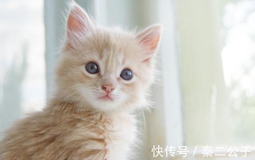 |幽默笑话:今天和二货女友一起逛超市,由于买的东西多