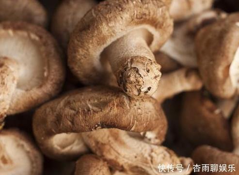 买香菇时,别只会挑个头大的,学会3个小技巧,保证新鲜又好吃