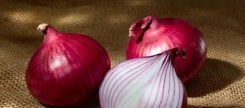 洋葱|洋葱,养花的“好帮手”,既能杀虫又能堆肥,还很便宜