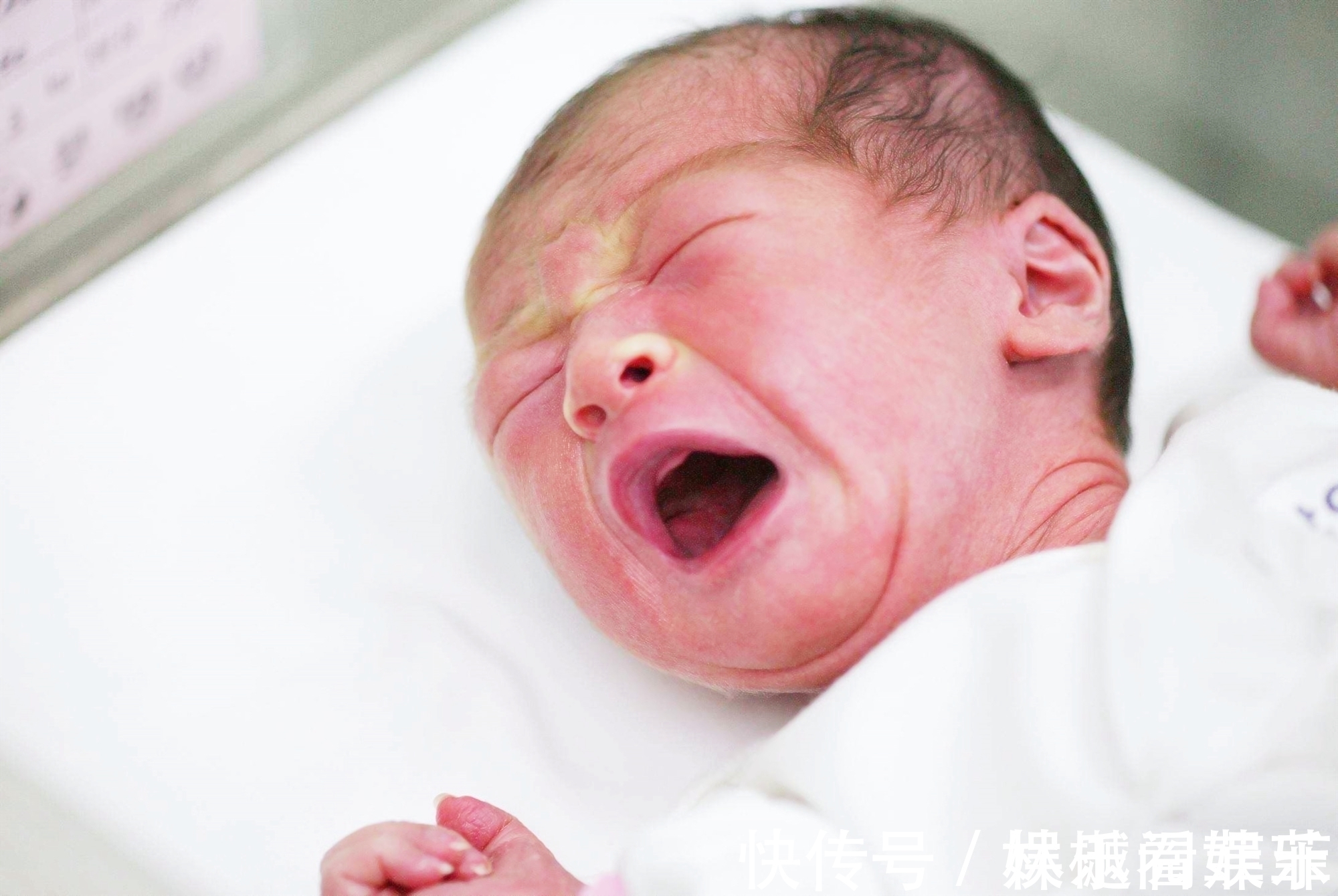 遗传基因|命中“有福”的孩子,能在面相上体现出来,几乎没有哪个娃能全占