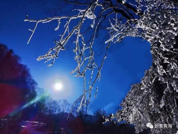 孟达天池|今日大雪！带您看青海冬日奇景！