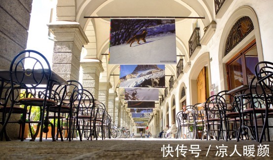 劳动力|为什么西方国家不发展电商法国专家你们还没意识到电商弊端