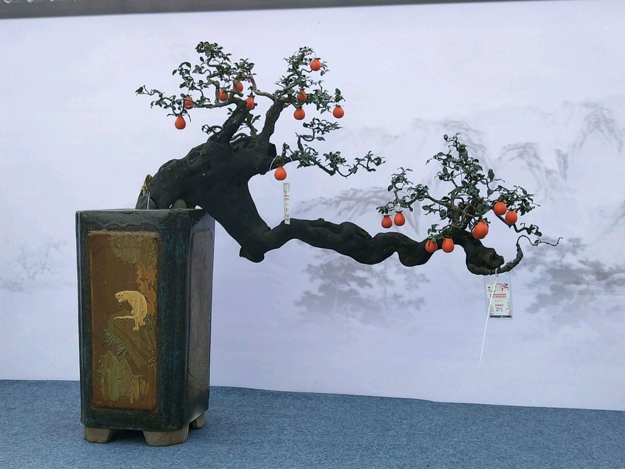 果率|金弹子盆景开花多结果少人工授粉打一针''它''，满树都是金弹果
