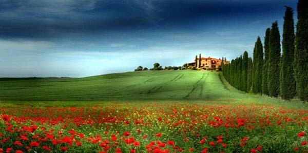 大海|不要唱给女朋友,想和你去吹吹风、大海,并不是情歌