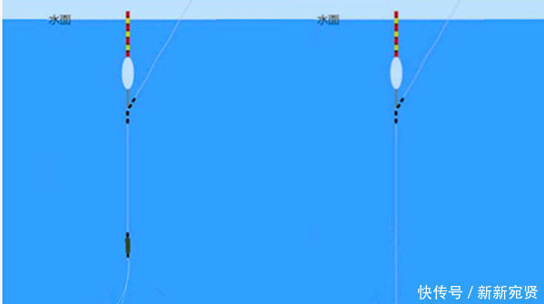 手竿钓鲤鱼三大要点用饵、子线、调漂,熟练掌握屡试不爽
