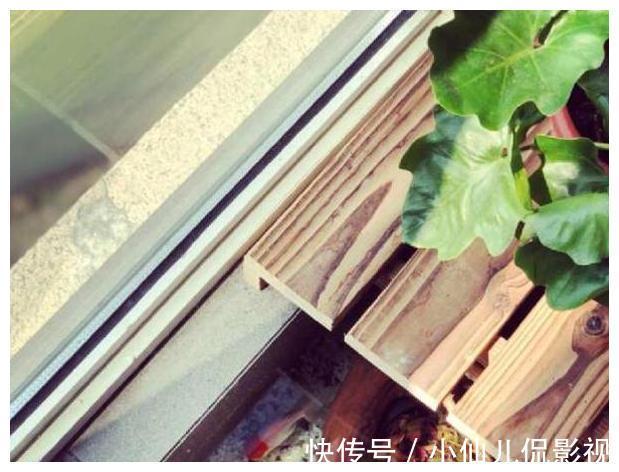 阳台|阳台进行一个小改动，秒变“休闲小花园”，有鱼有花，好看极了