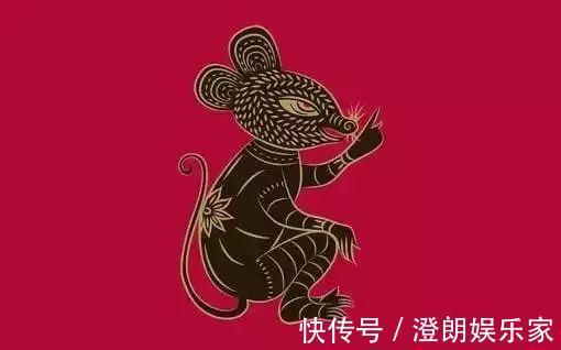 排行榜|属鼠阴险，属猴精明……十二生肖智商排行榜，太准了！