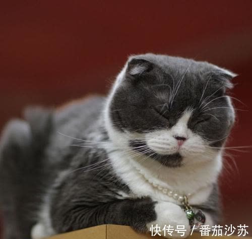 |幽默笑话:记得媳妇第一次到我家,平时吃三大碗米饭的她