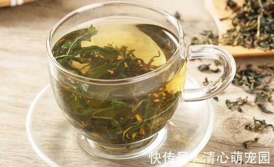 决明子茶|养肝“黄金水”!日常喝一杯,喝出不老肝,湿气也排光