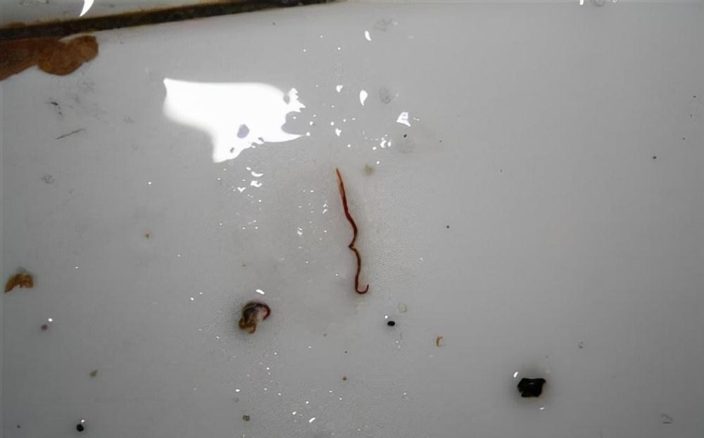 家居用品|装修时不听劝，跟风买了这些家居用品，入住1年，使用次数不超5次