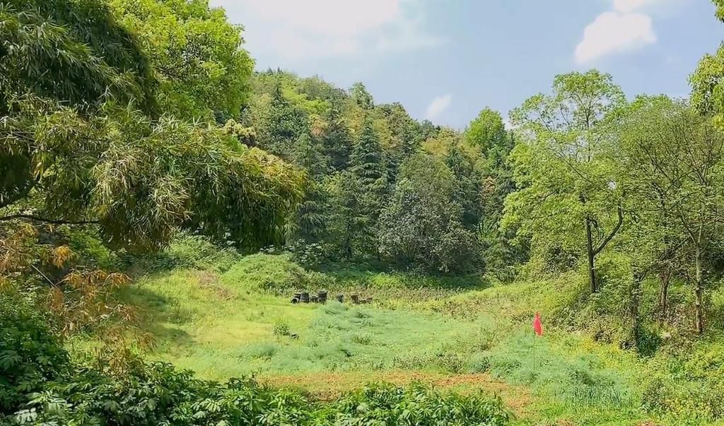 还要|重庆沙坪坝老公园，景观荒芜设施陈旧，居然还要收门票