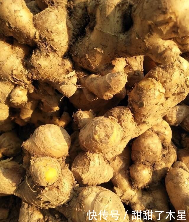 鱼酱|技能|好男人的拿手菜180熬制好的鱼酱,以后蒸鱼蒸虾都不愁