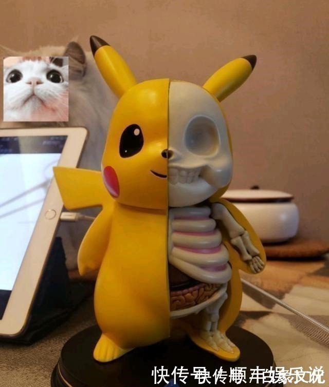 手办|宅男收藏“另类手办”家人看不惯扬言要砸掉,结局太真实