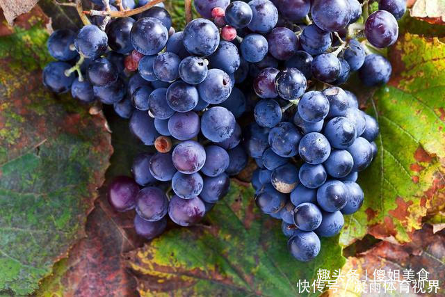 抓紧|爱吃葡萄的要留意了,我也是今天才知道,抓紧告诉身边的人