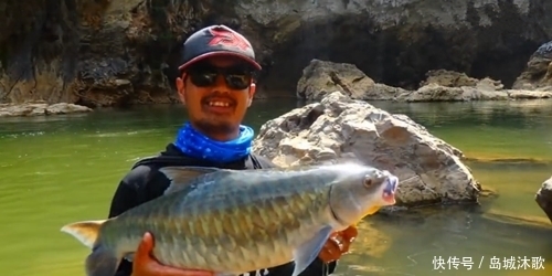 和朋友深山钓鱼,意外钓上“奇鱼”,鱼鳞大,颜色也特别,什么鱼