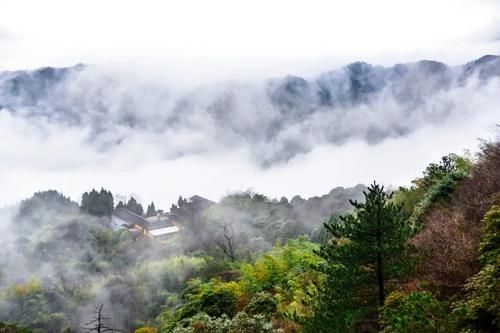  全世界|全世界最大夜明珠！我忍不住摸了一把后……