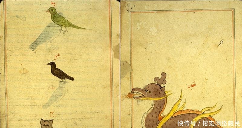 古波斯|古波斯《山海经》,其中描绘的生物或许来自外太空