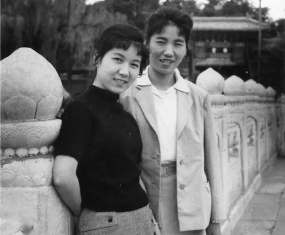 杜聿明等人|杨振宁的岳父说了啥？末代皇帝溥仪听后不高兴，嘟嚷：谁可怜谁呀