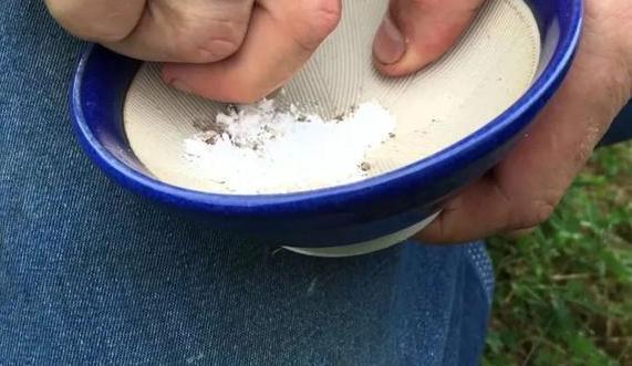 阿司匹林养花用作秋季扦插、日常盆栽，效果不逊色高价生根粉
