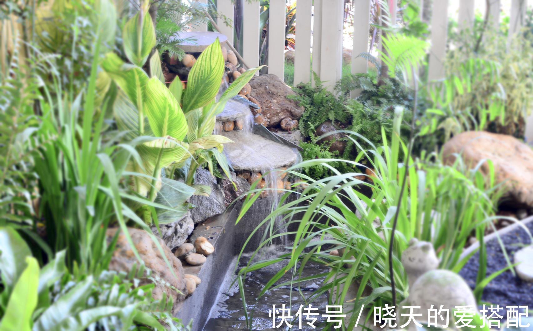 治愈系|小空间庭院花园，正确的绿植搭配技巧，让小院落变身治愈系小花园