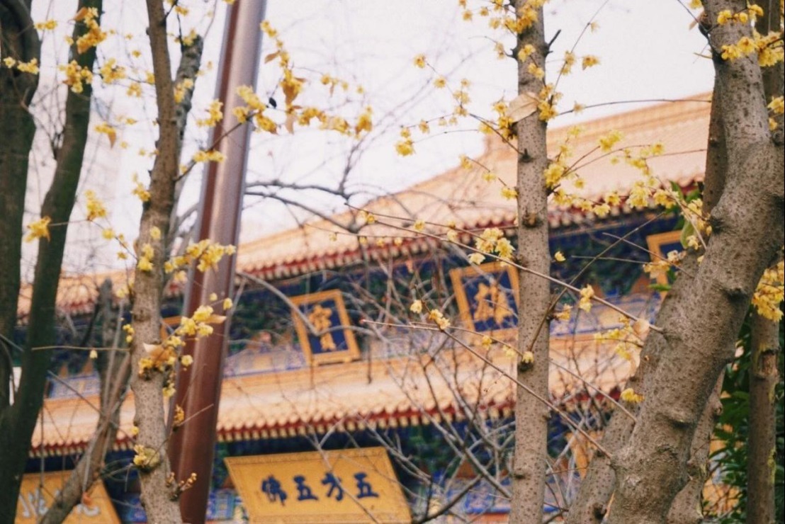 中年|西安闹市区里的这个寺庙藏着1700多年的历史,值得一去