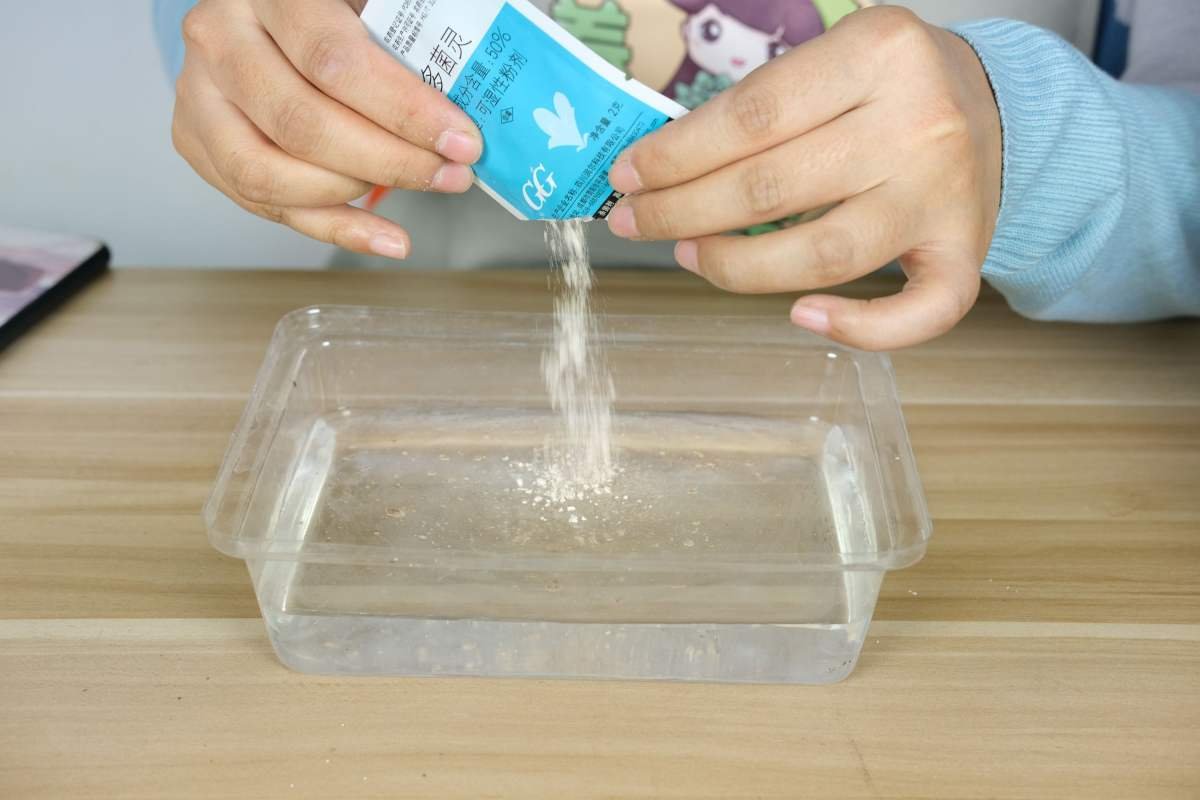 超级实用的水培指南，学会轻松变身养花达人，养花没难度