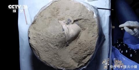 国家宝藏3 “给兵马俑拍照的人”爆红:我看见一枚指纹来自2200年前