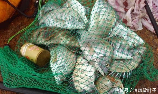 钓友|钓鱼人拼船出海钓鱼,船上没有厕所,女钓友的做法大胆又令人佩服