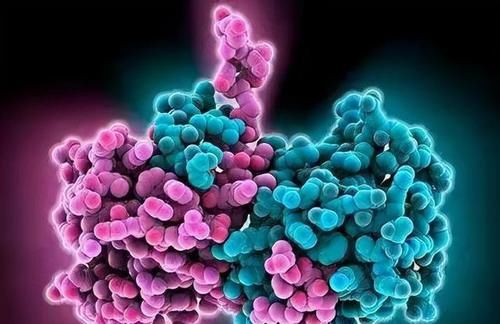 腹泻|男子腹痛腹泻，迅速休克病因未明，直至医生看到：患者胸口上红点