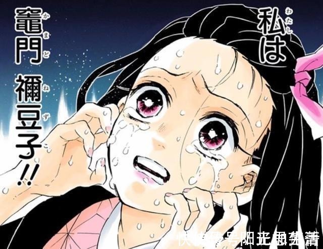 珠世|鬼灭之刃,核心角色缺席最终大战,祢豆子创作的意义究竟为何