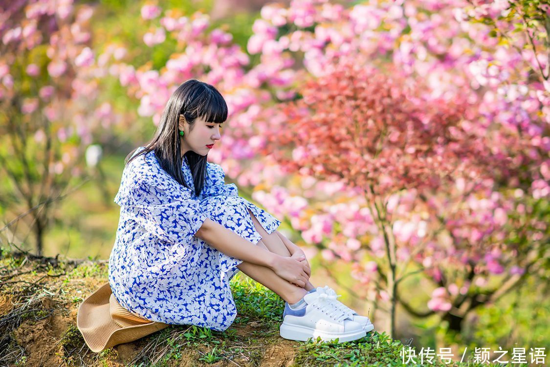 白鹿村、上马村、雅庄村，十里樱花十里尘，经典赏樱路