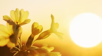 阳气可助你长寿！这几件事正在消耗你的阳气，很多人还不自知