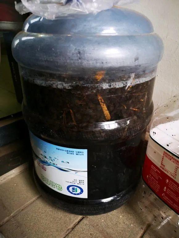 4种养花夺命水,秋天不要浇,一浇花就死!