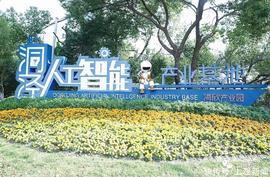 造梦|未来已来！双百亿，造梦之城！松江这个小镇正在崛起