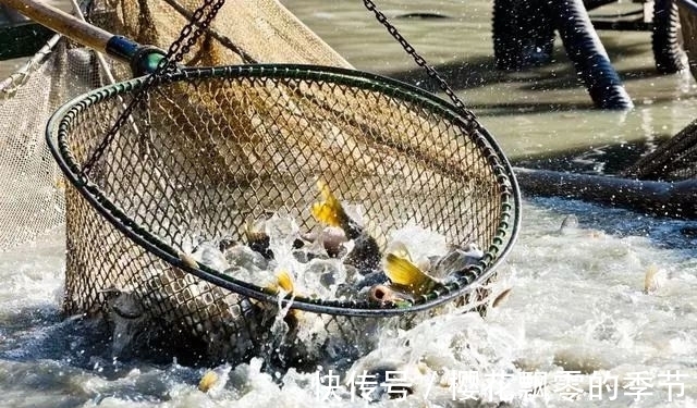 子线|浮漂为什么会有力的“一顿”?钓鱼大师一点就透,终于明白了